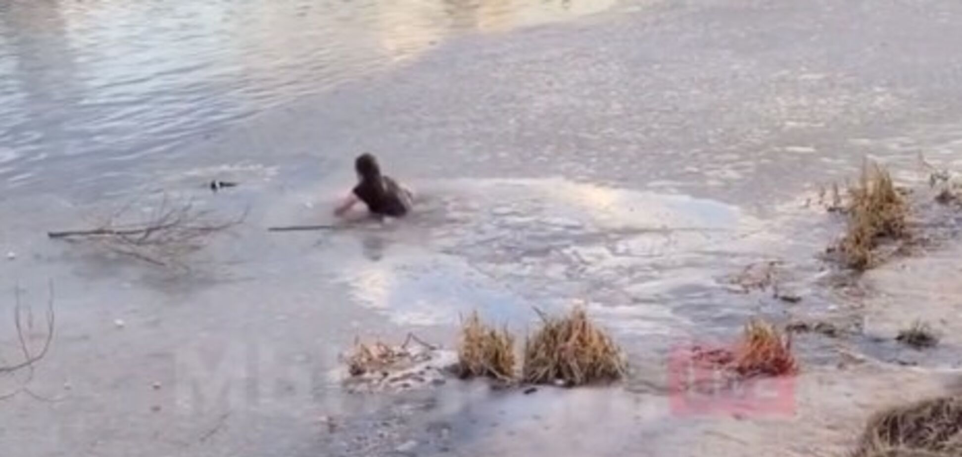 В России мать троих детей бросилась в ледяной пруд, чтобы спасти собаку. Фото и видео