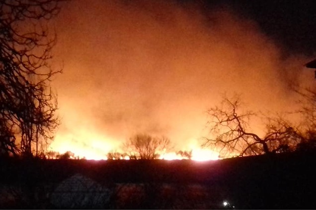 Під Одесою спалахнула страшна пожежа в заповіднику. Фото і відео з місця НП