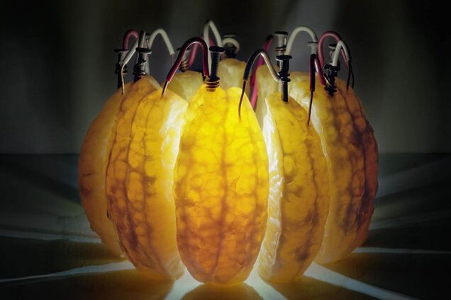 В Испании начали добывать 'зеленую' энергию из апельсинов