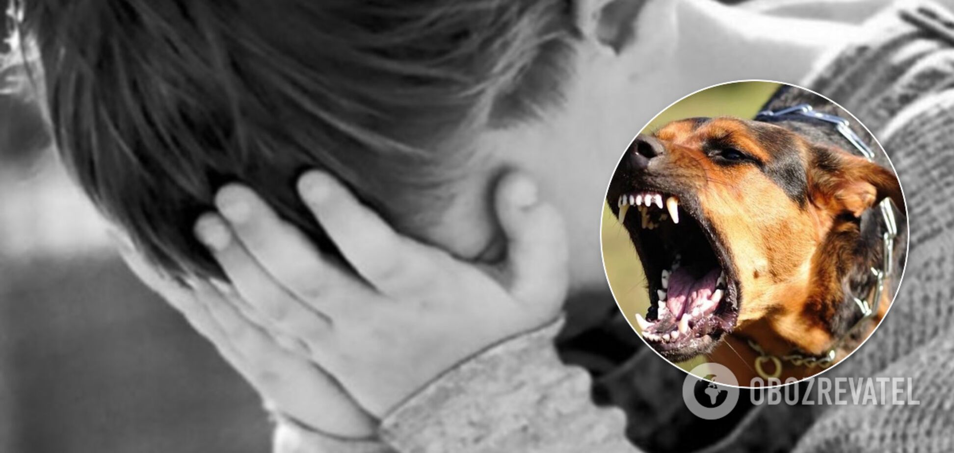 В Днепре собака напала на ребенка возле школы: в сети возмущены