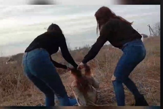 В Житомирской области суд наказал школьниц, которые жестоко избили ровесницу