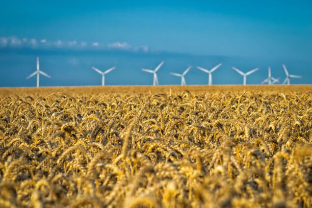 На ринку енергетики України назріла криза - Ковальчук