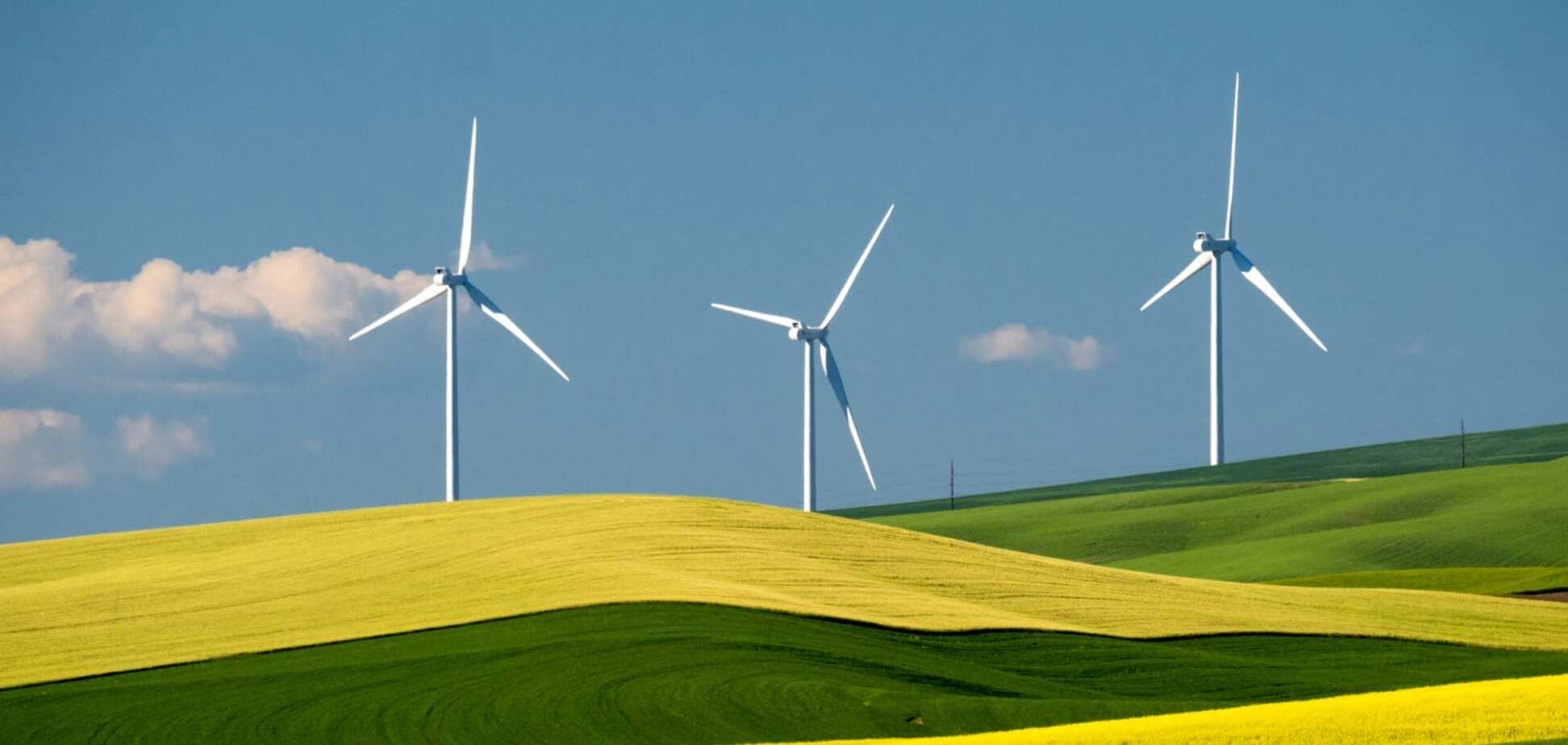 Правительство Украины обвинили в игнорировании кризиса на рынке 'зеленой' энергетики