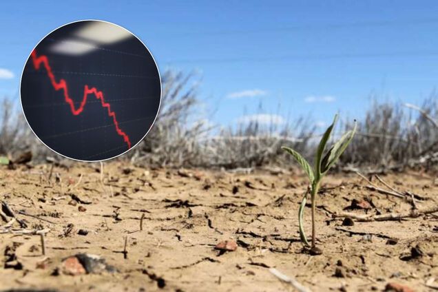 В Украине такого не было с 90-х: как аномальная зима повлияет на цены и курс доллара