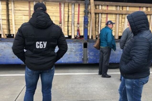 Раскрыта преступная схема вывоза сырья из ценных пород деревьев в ЕС