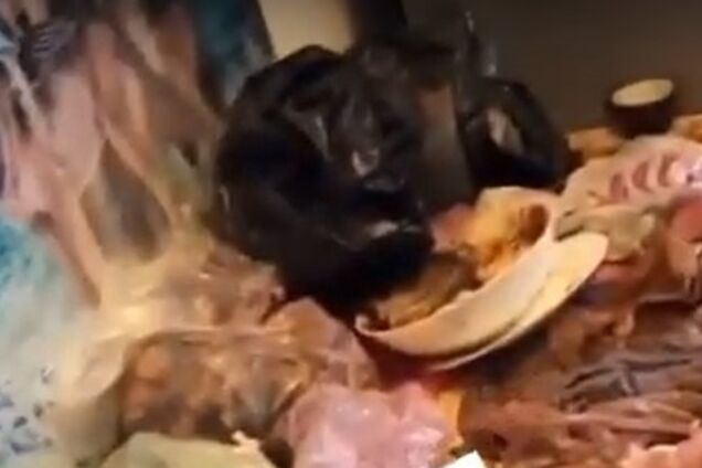 Орендарі перетворили хорошу квартиру в притулок для бомжів