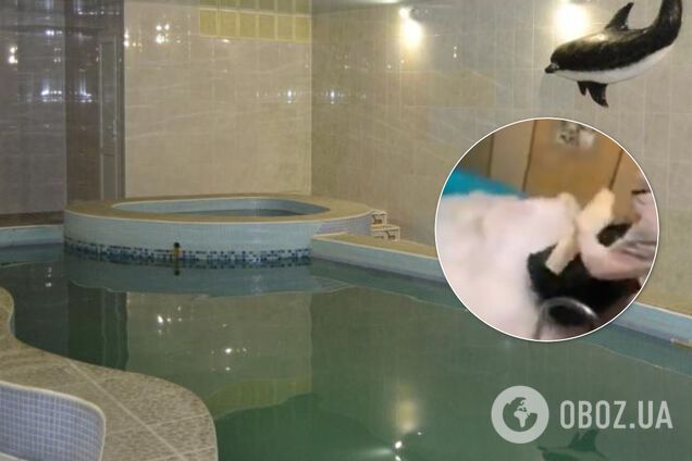 Появилось последнее видео перед трагедией в бане в Москве