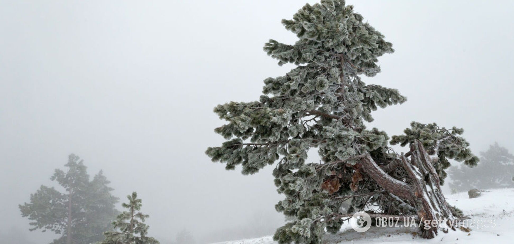 Зима вернется в Украину в марте: синоптик пообещал до 15° мороза