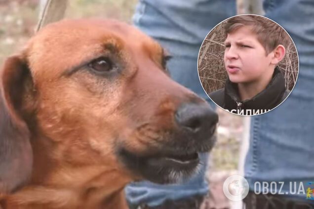 Ризикував життям: з'явилося показове відео порятунку собаки підлітком на Львівщині