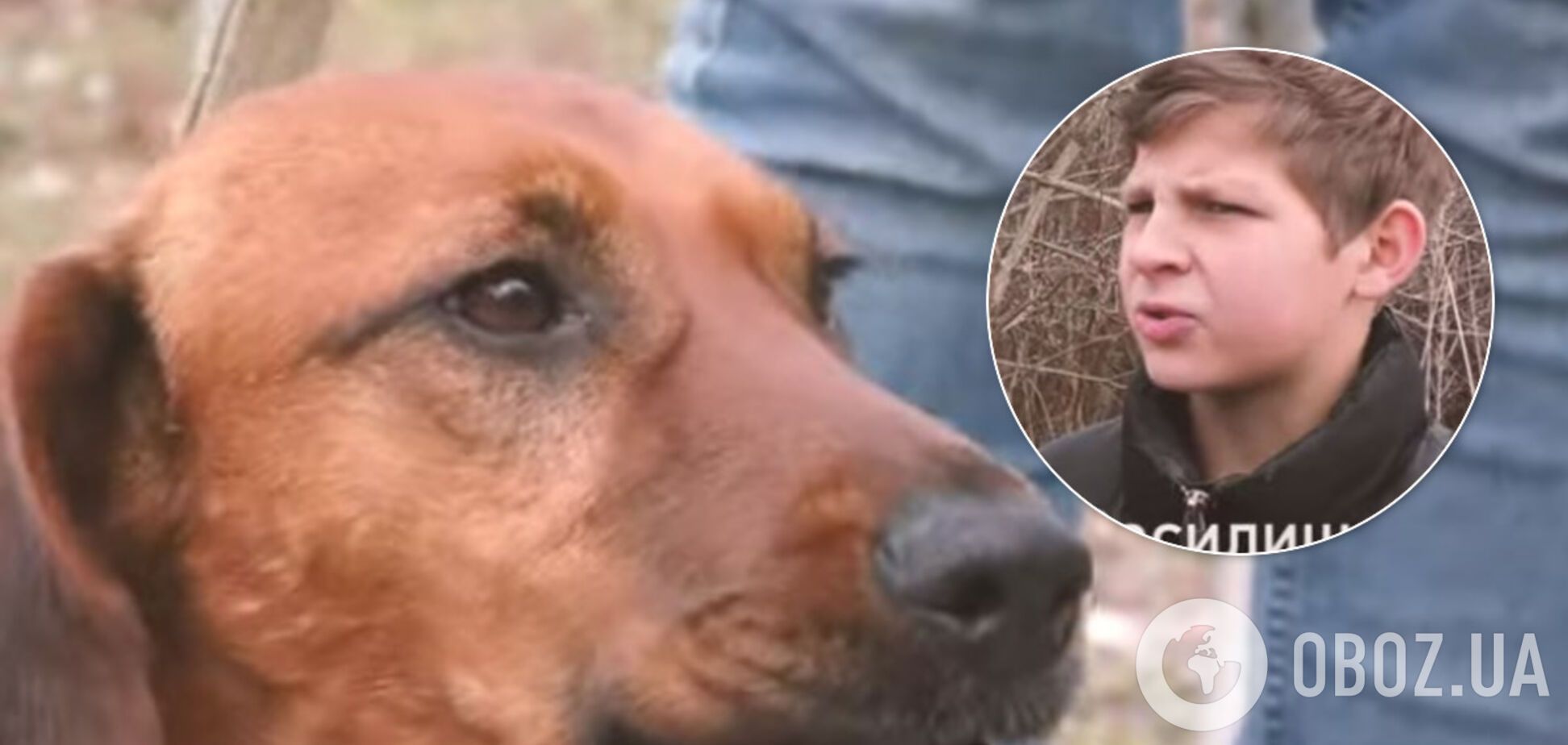 Ризикував життям: з'явилося показове відео порятунку собаки підлітком на Львівщині