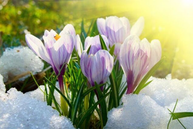 Прогноз погоды на весну-2020 в Украине рассорил синоптиков