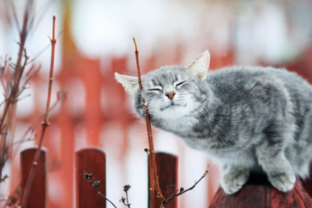 Украину накроет атмосферный фронт: прогноз погоды на завтра