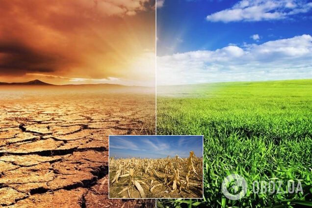 Європа може стати пустелею? Синоптики дали страхітливий прогноз до 2100 року