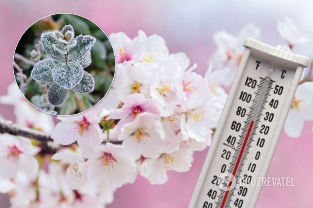 З'явився прогноз погоди до кінця тижня в Україні