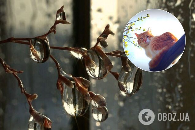 Украину накроет непогода: синоптик рассказала, где ударят дожди