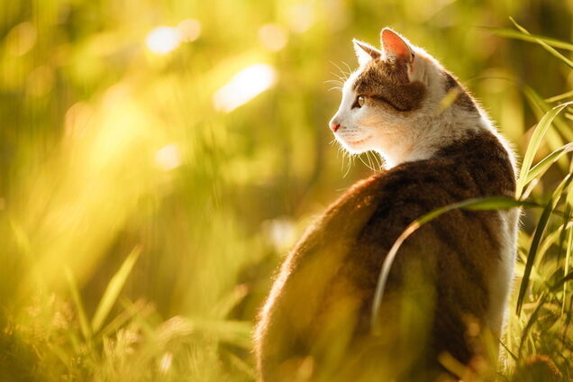 Погода в Україні 13 березня