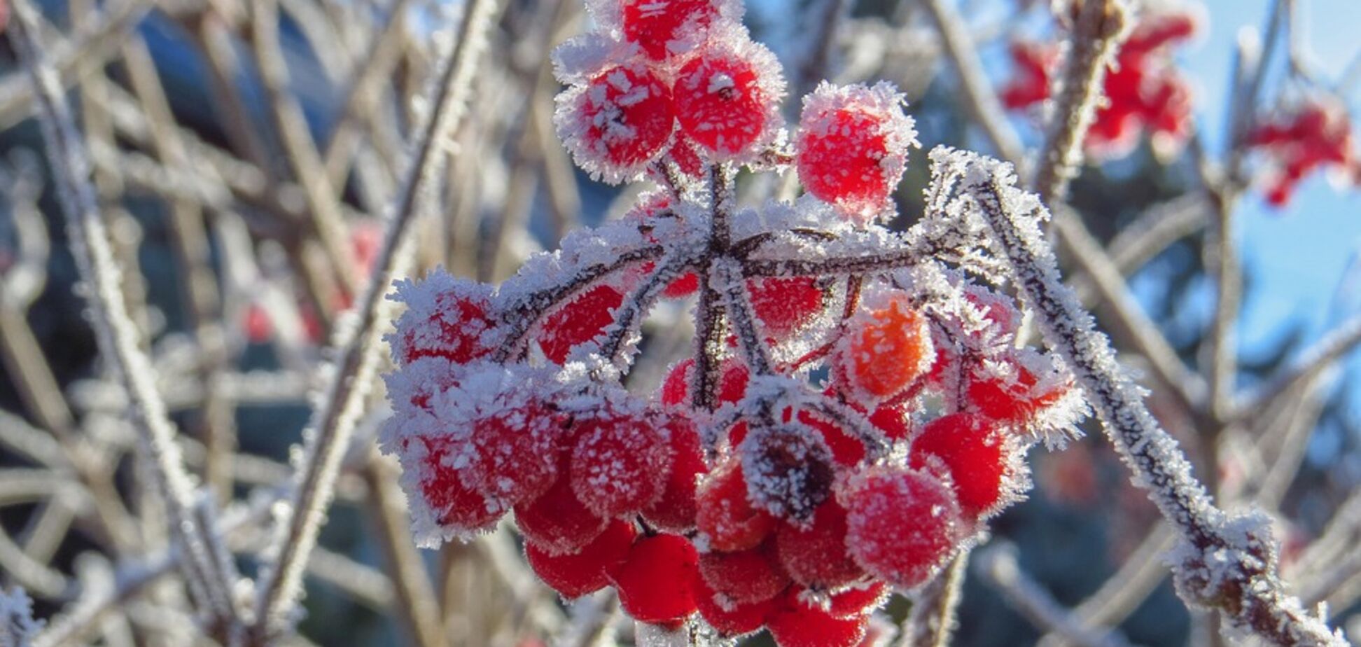 Заморозки и снегопады в мае! Метеоролог озвучила аномальный прогноз по Украине