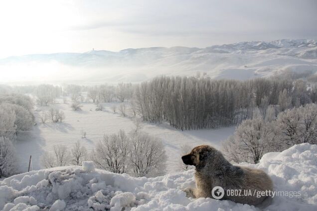Метеоролог дала аномальный прогноз на ближайшие зимы в Украине