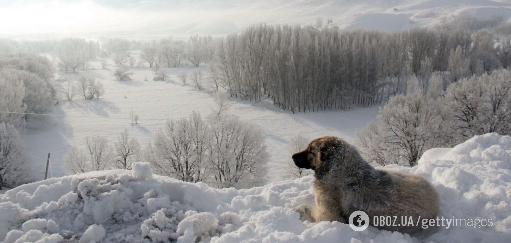 Метеорологиня дала аномальний прогноз на найближчі зими в Україні