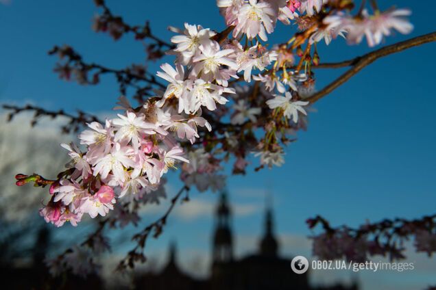 Синоптик дав свіжий прогноз погоди до кінця березня в Україні