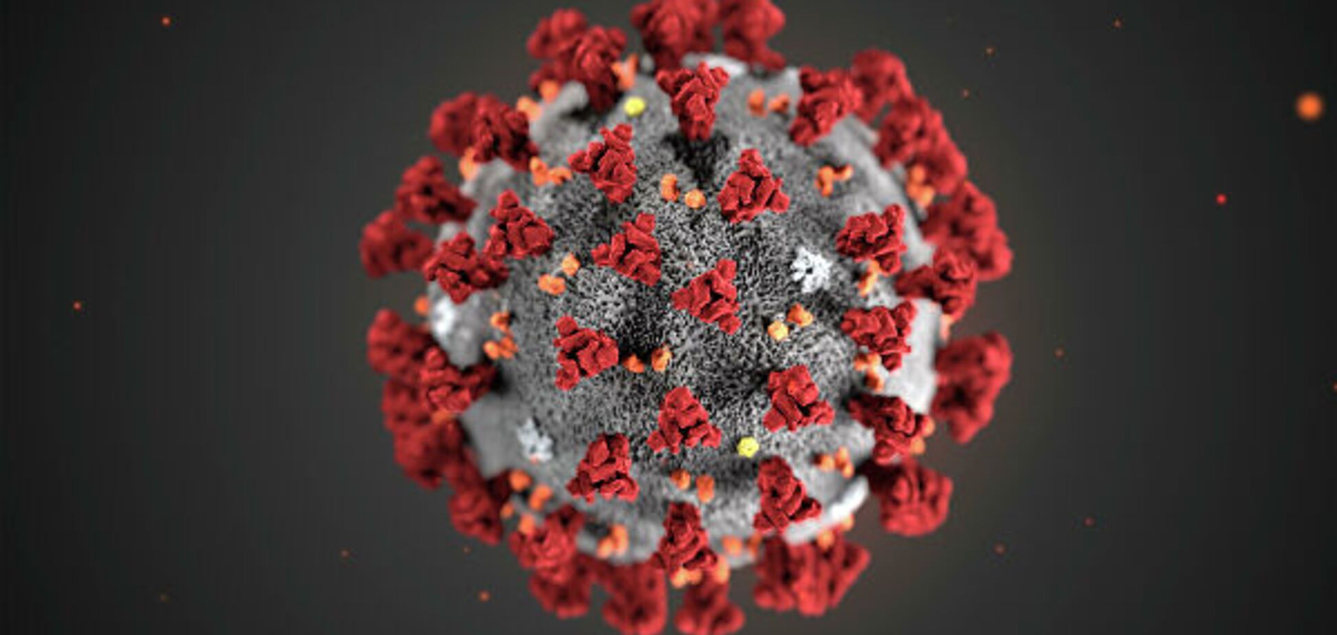 Скільки коронавірус живе в організмі: з'явилася остаточна відповідь