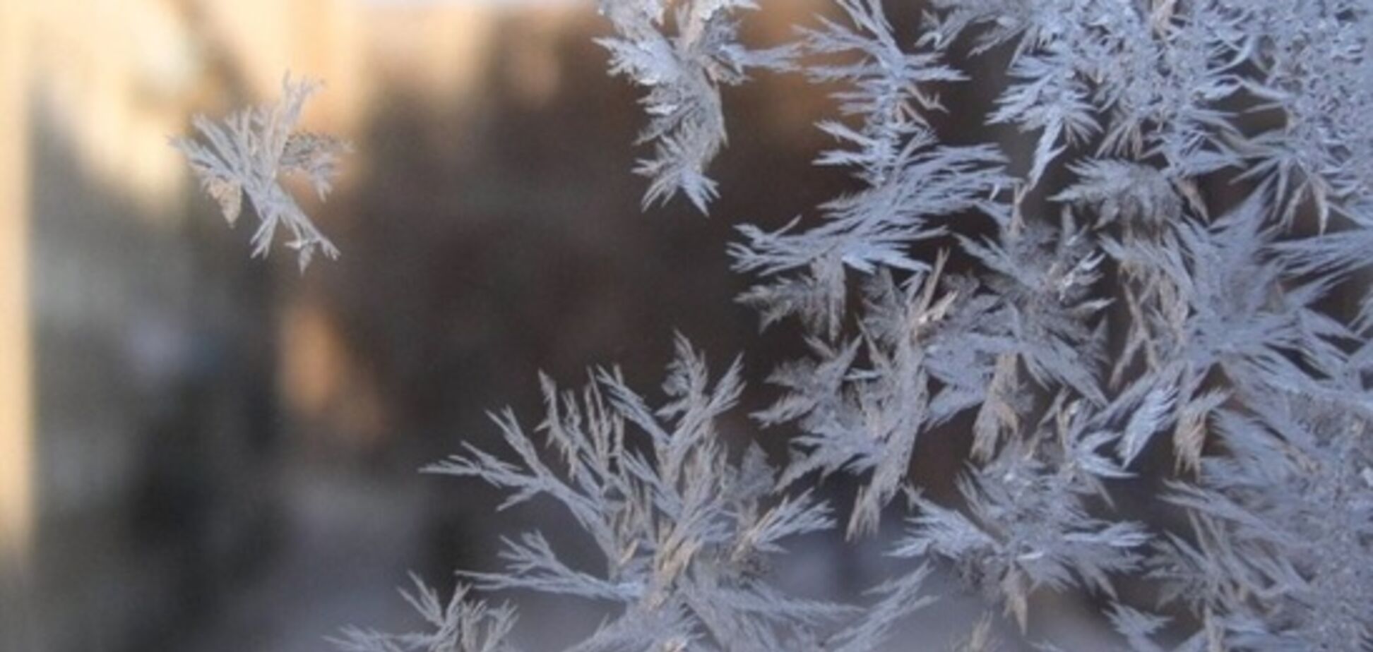 В Україні вдарить мороз: синоптики попередили про різке похолодання