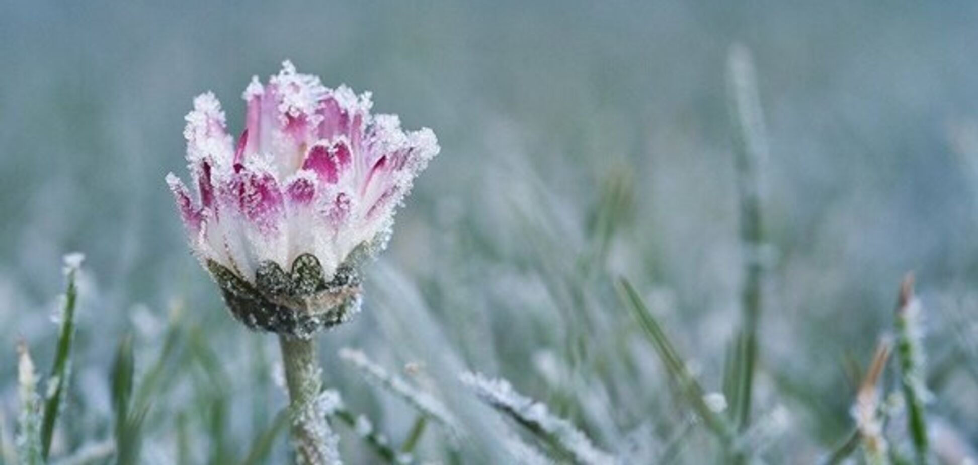 Ударит мороз: синоптики уточнили прогноз погоды в Днепре