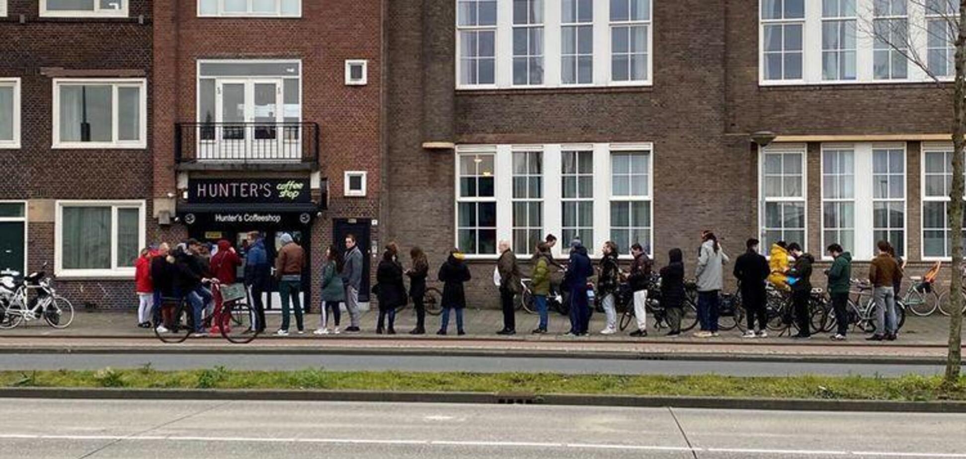 Из-за коронавируса в Нидерландах массово скупают марихуану. Фото