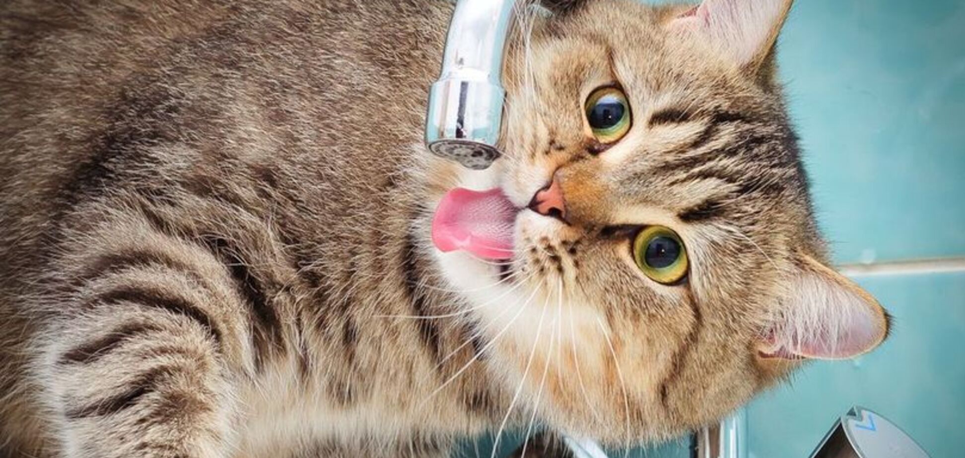 В Днепре предупредили об отключении воды: адреса