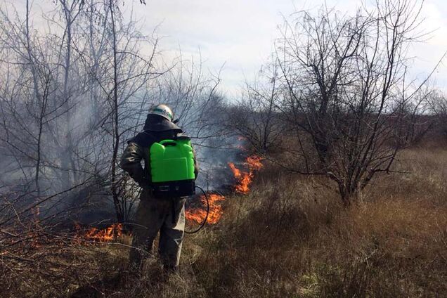 Весеннее обострение: в Днепре сжигают мусор и отравляют горожан
