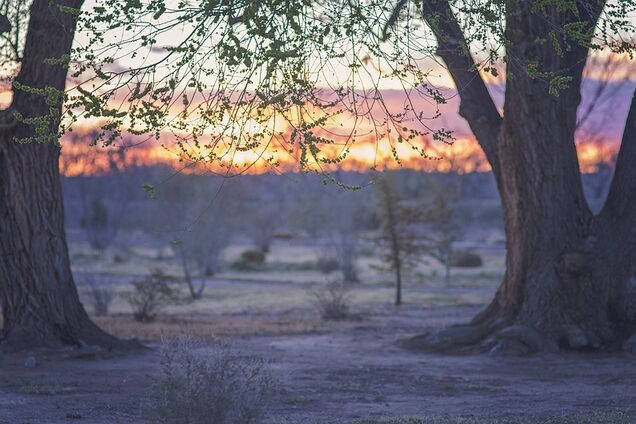 День весняного рівнодення: що категорично не можна робити 20 березня