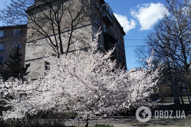 Погода в Одесі