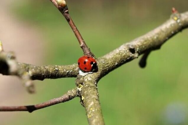 Холод відступає: синоптики дали прогноз погоди на 19 березня в Дніпрі