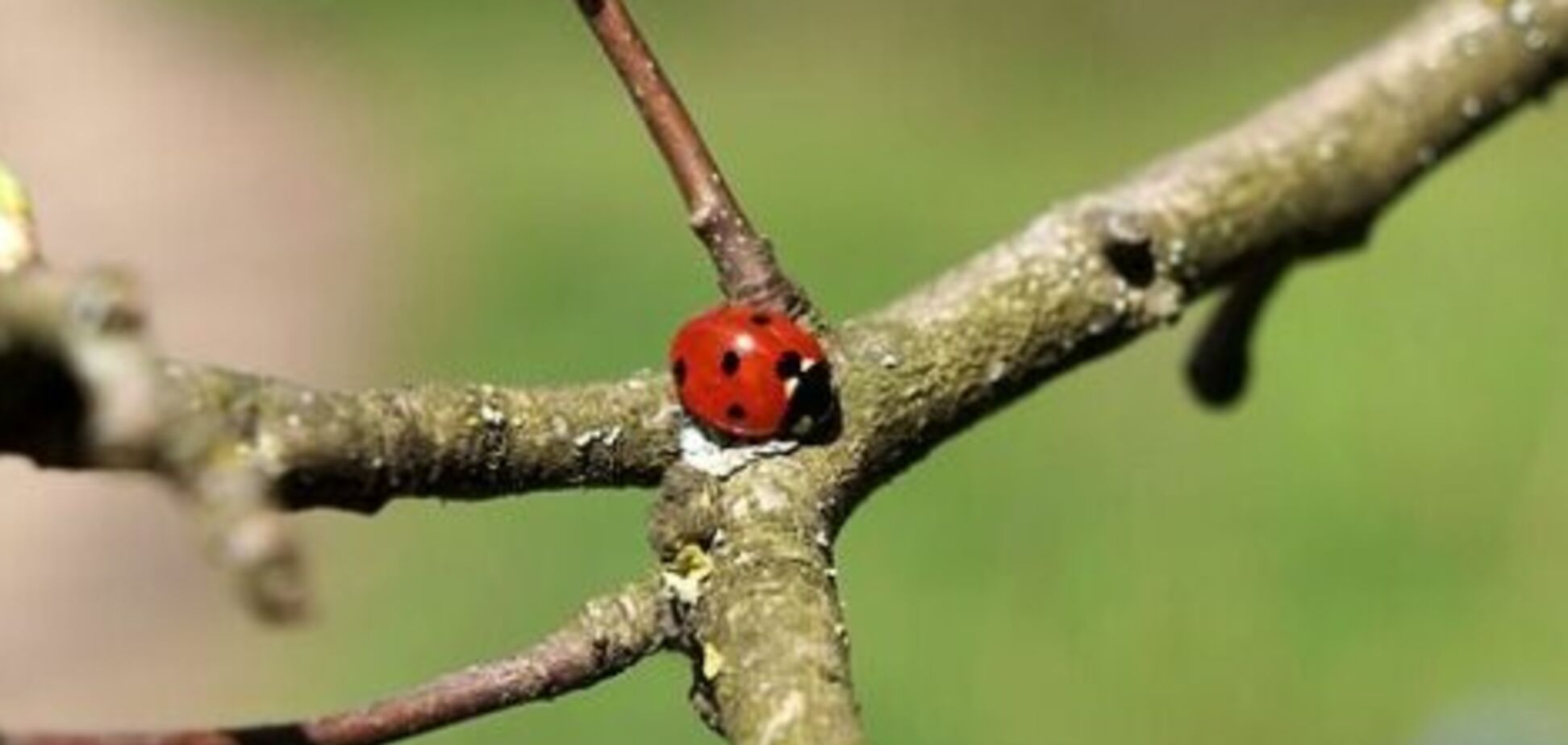 Холода отступают: синоптики дали прогноз погоды на 19 марта в Днепре