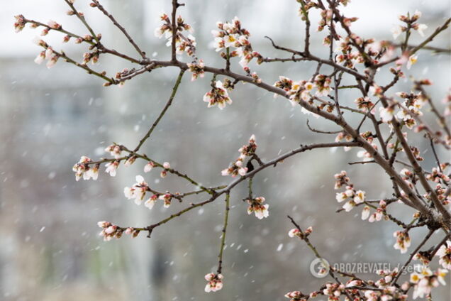 Погода в марте в Украине