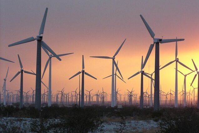 Инвесторы обрушились на правительство с критикой из-за снижения 'зеленого тарифа'