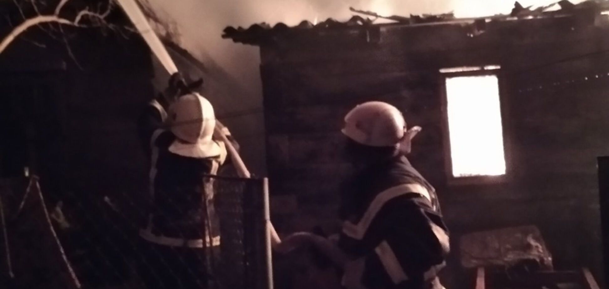 На Днепропетровщине во время пожара погибли более 50 животных