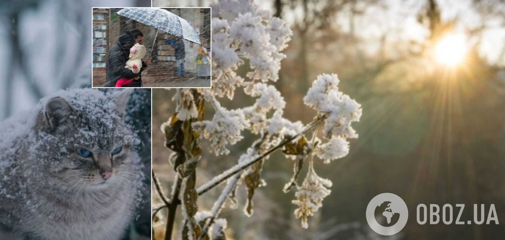 В Украине ударит мороз: синоптики предупредили о резком ухудшении погоды