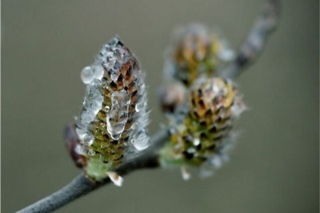 Синоптик заявила о резком ухудшении погоды в Украине