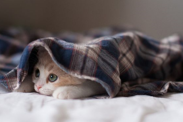 В Україну йдуть 'мінуси'