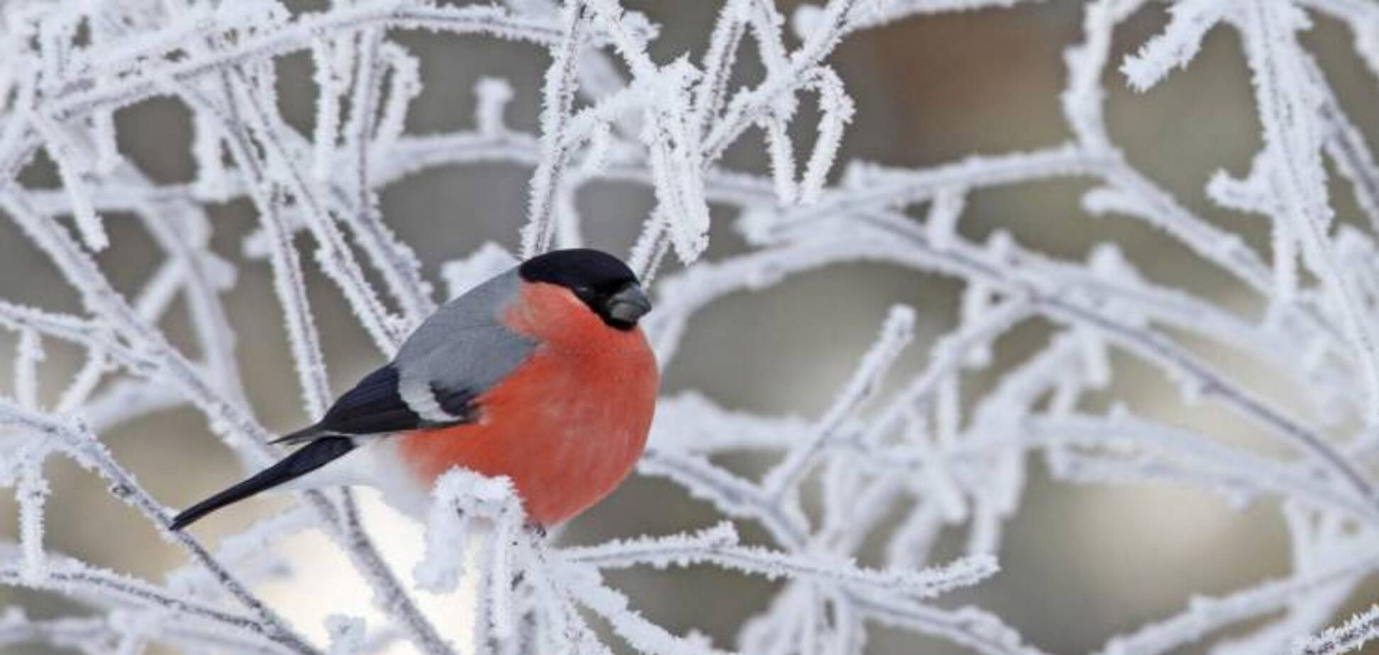 Гідрометцентр дав прогноз погоди в Україні до кінця березня