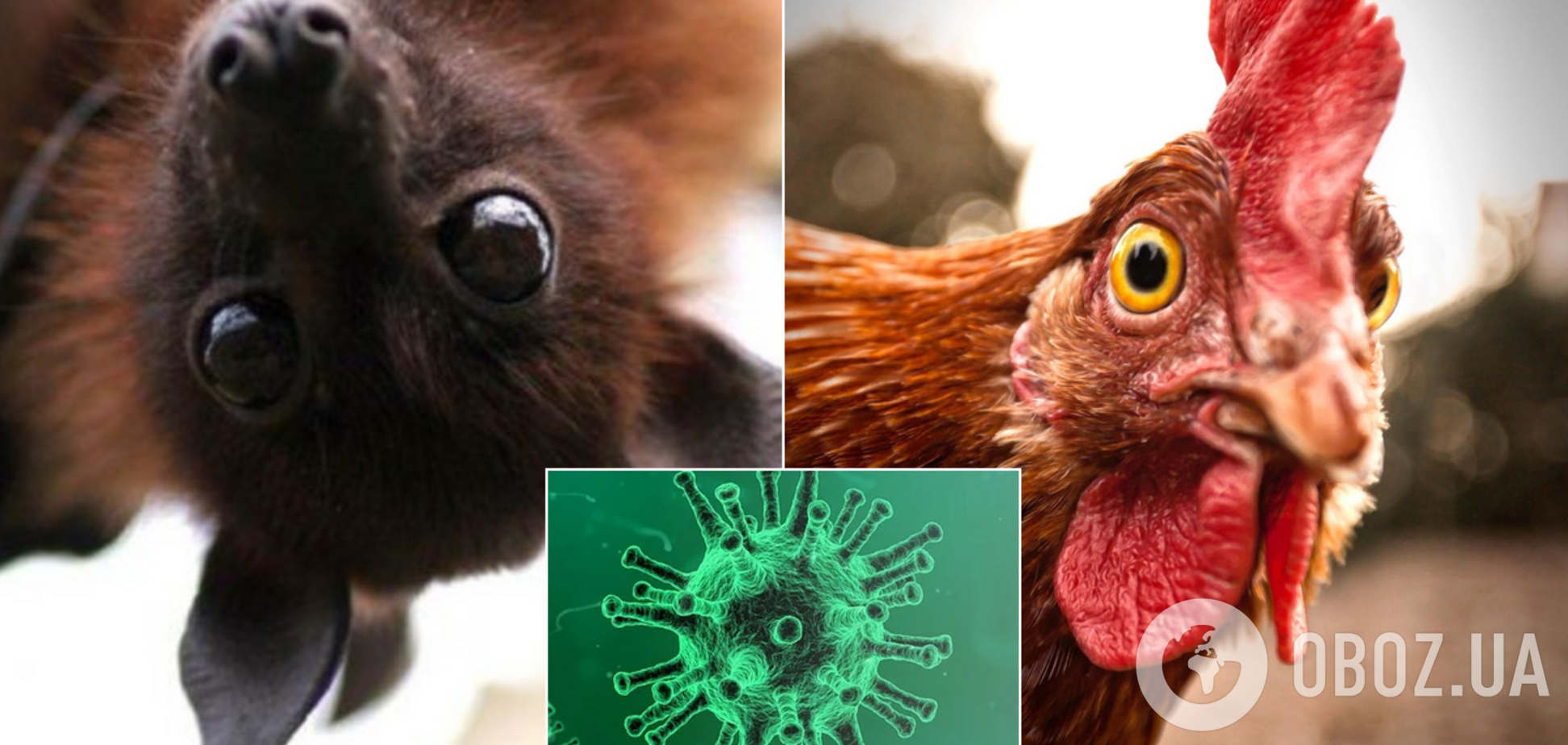 Заражение через еду: Минздрав опроверг новый фейк о коронавирусе