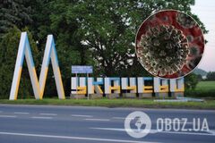 На Закарпатье зафиксирован первый случай коронавируса