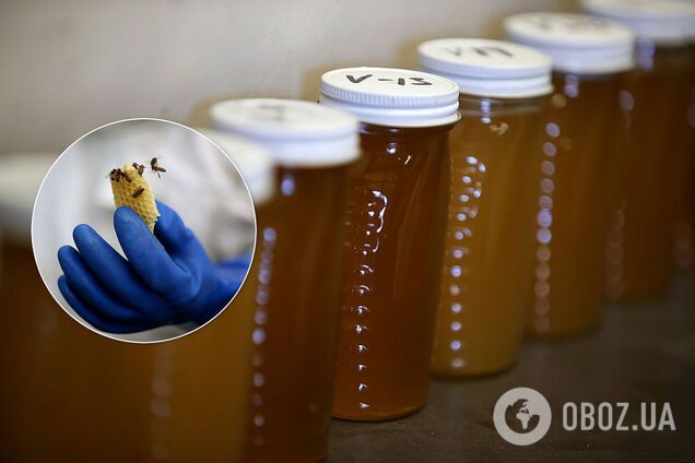 Україну завалив фальшивий мед, що підвищує ризик раку: результати дослідження