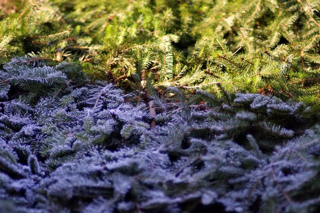 Похолодание в Украине еще задержится: синоптик уточнила, когда ждать тепла