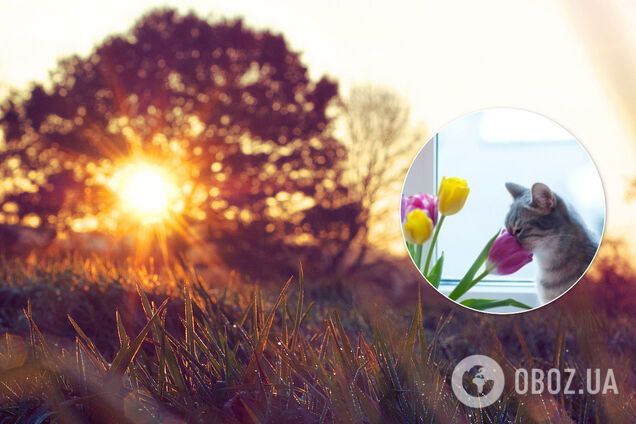 До України повернеться тепло: синоптикиня уточнила прогноз погоди