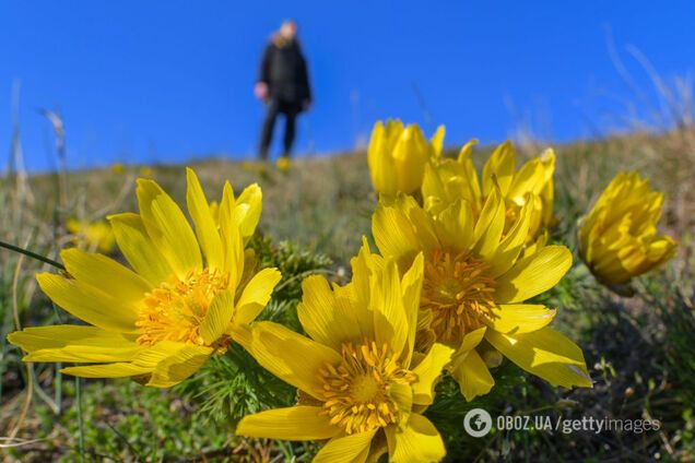 Синоптик розповів, коли в Україну повернеться тепло: буде +16