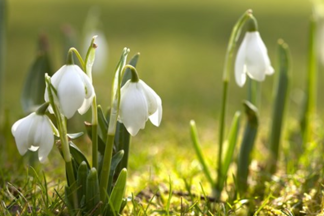 В Украину возвращается весна: прогноз погоды на 25 марта