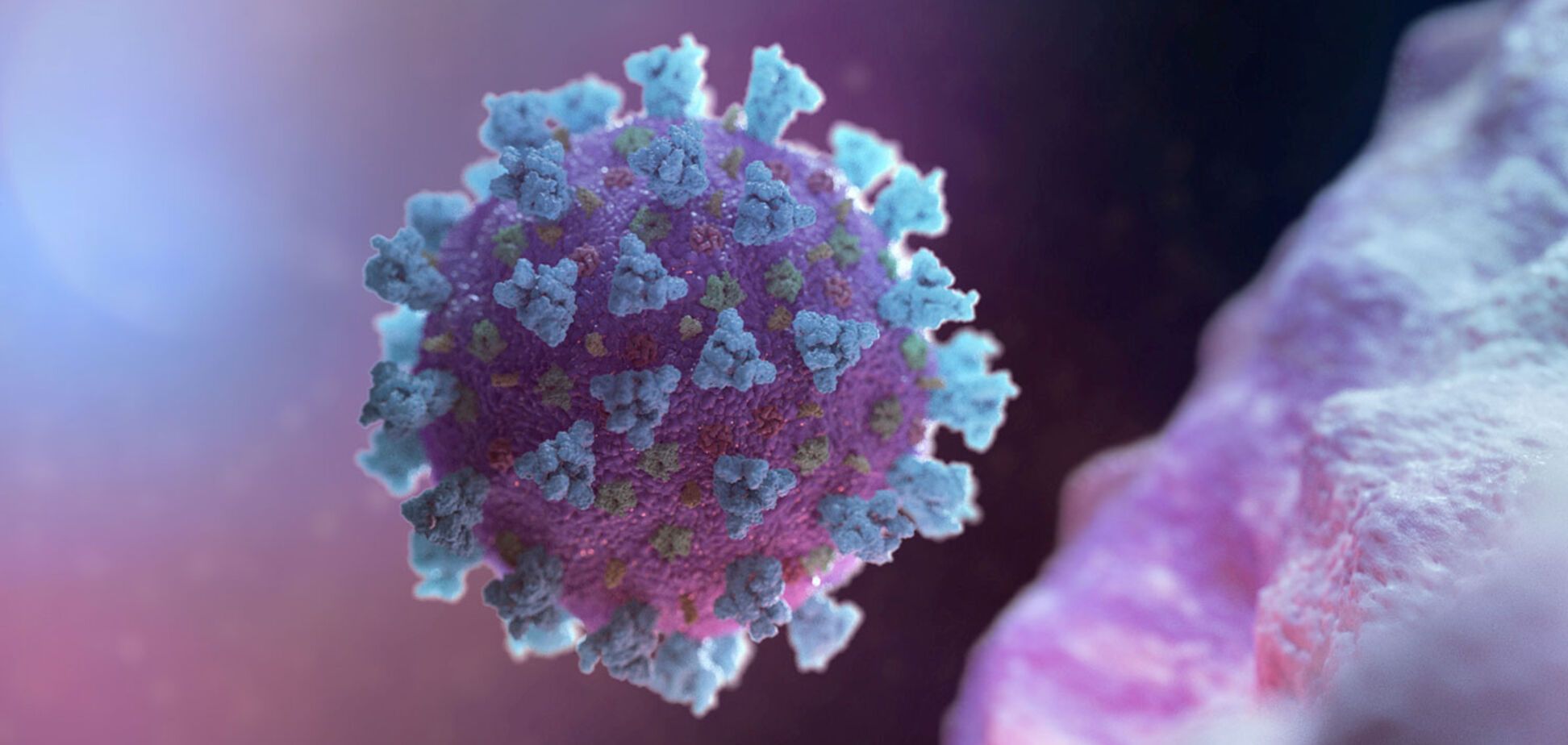 Вітамін Д може знизити ризик коронавірусної інфекції: думка експерта