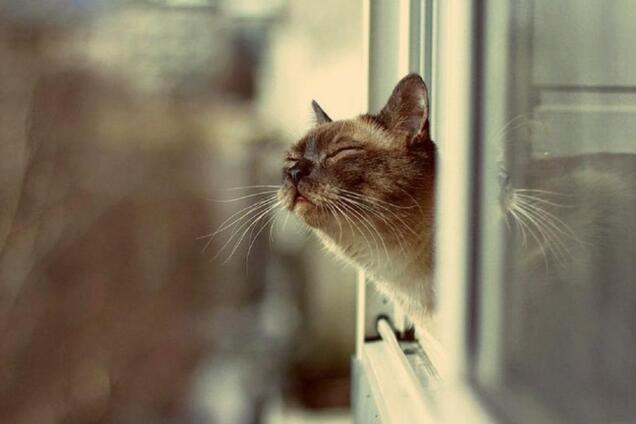 В Украине заметно потеплеет: свежий прогноз погоды